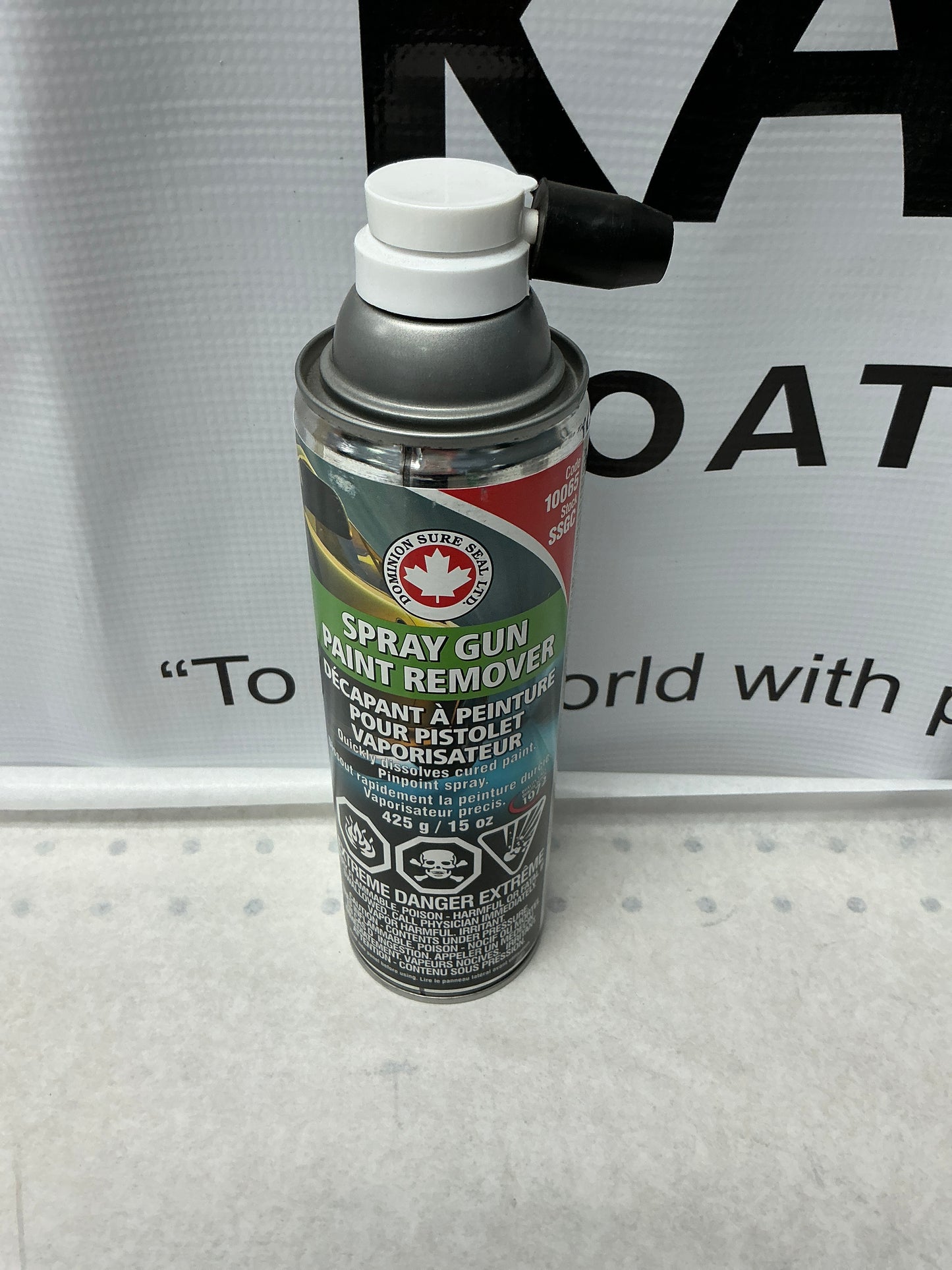 Dominion Spray Gun Paint Remover